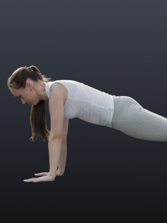 Dynamic Plank Challenge