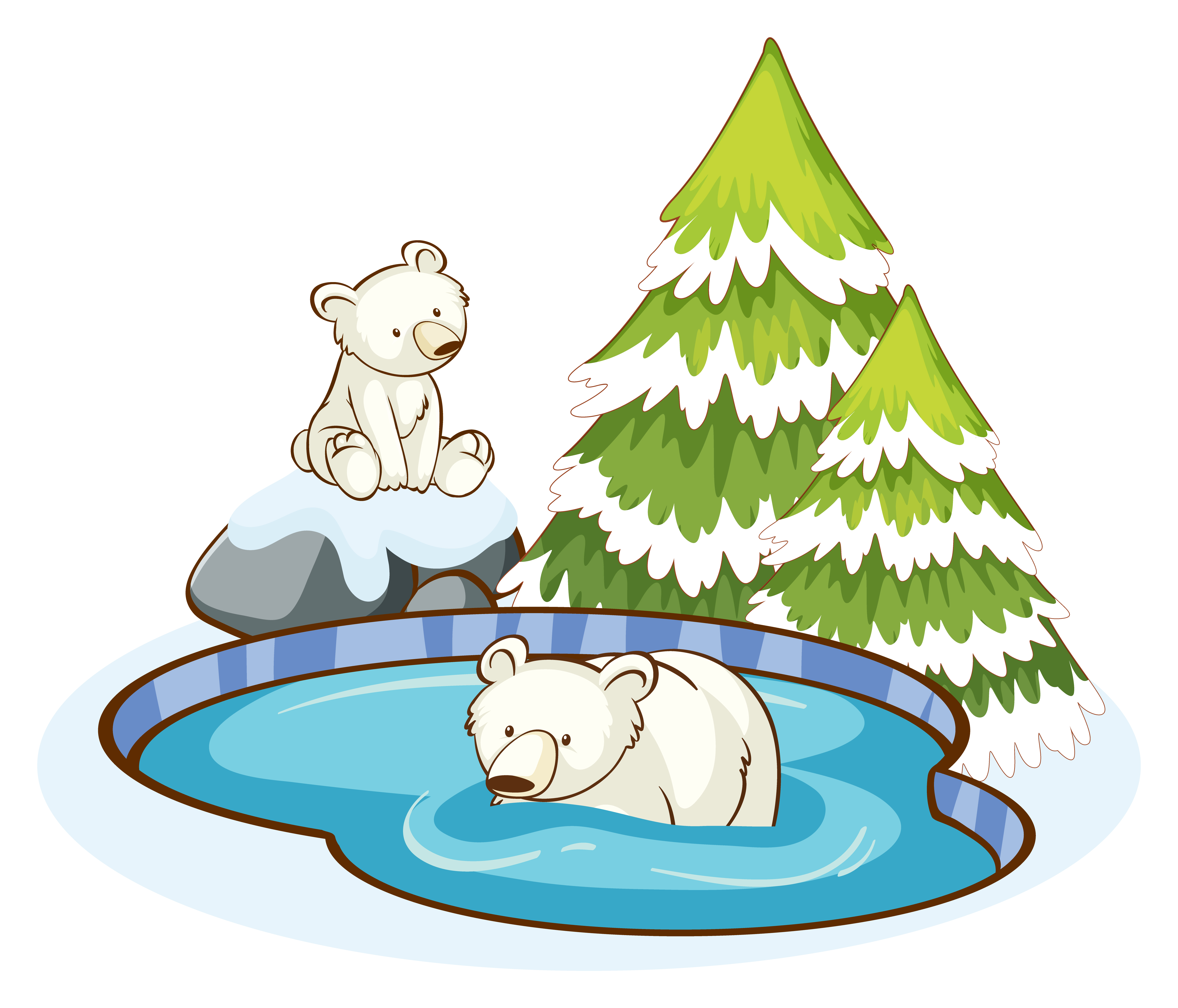 Why Do Polar Bears Have White Fur?