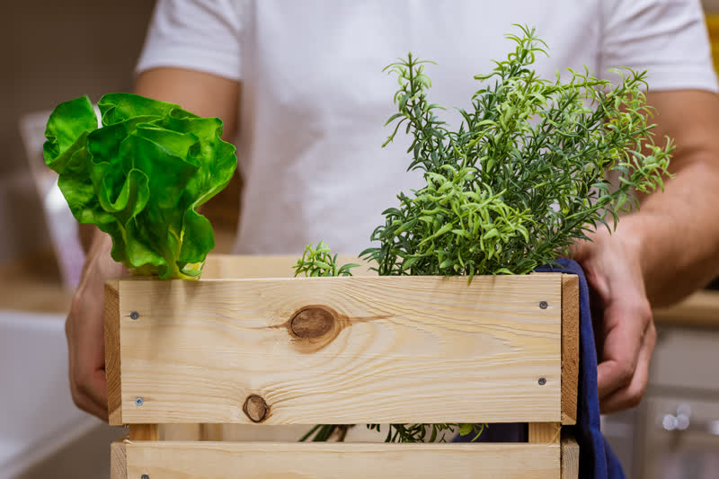 How to Store Fresh Herbs and Vegetables Properly
